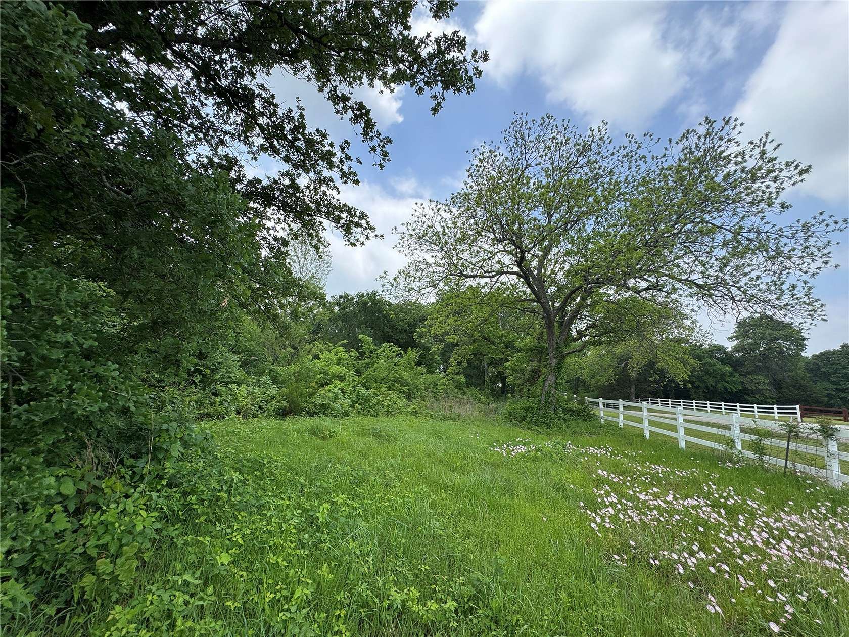 5 Acres of Residential Land for Sale in Whitesboro, Texas