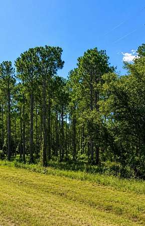 5 Acres of Residential Land for Sale in Dothan, Alabama