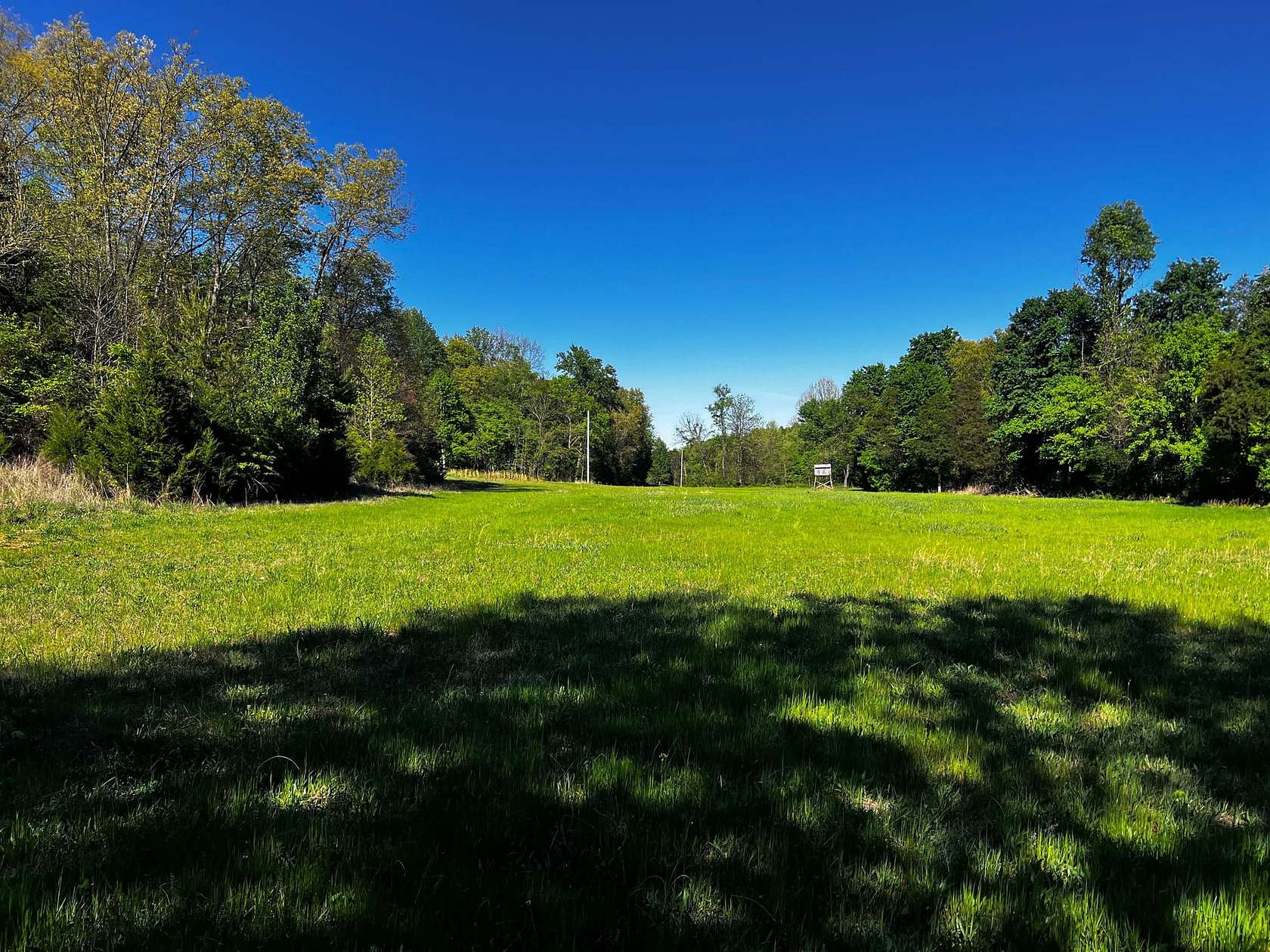 438 Acres of Land for Sale in Bonnieville, Kentucky