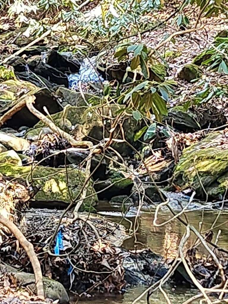 8 Acres of Land for Sale in Morganton, Georgia