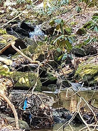 8 Acres of Land for Sale in Morganton, Georgia