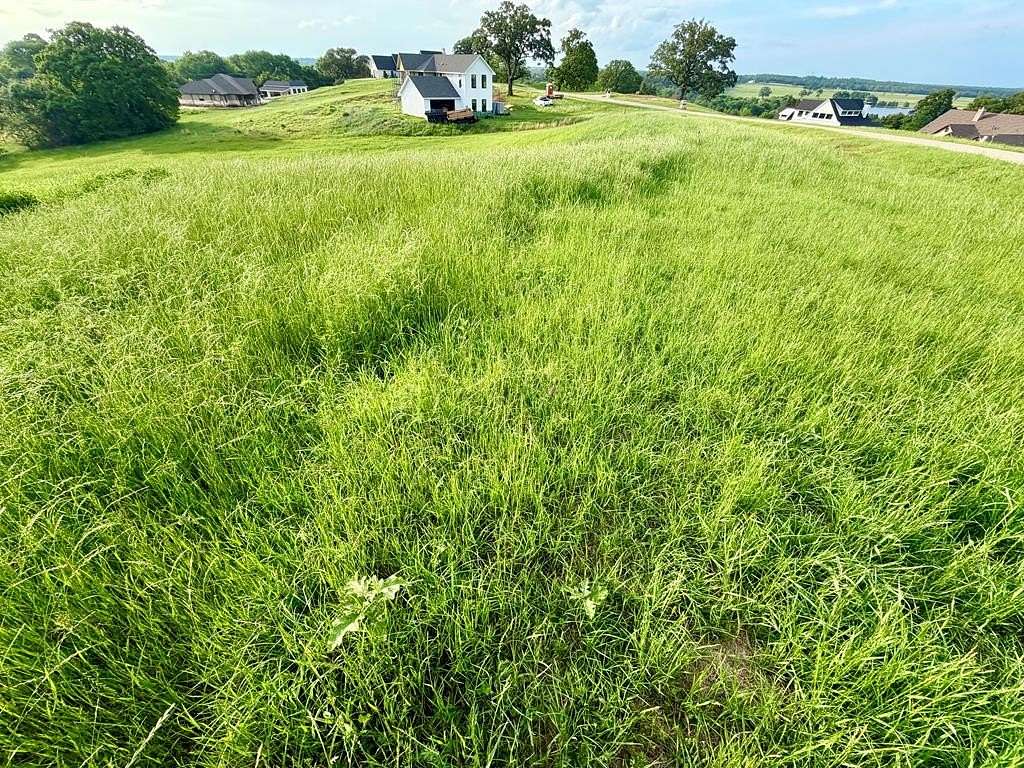 1 Acre of Residential Land for Sale in Athens, Texas