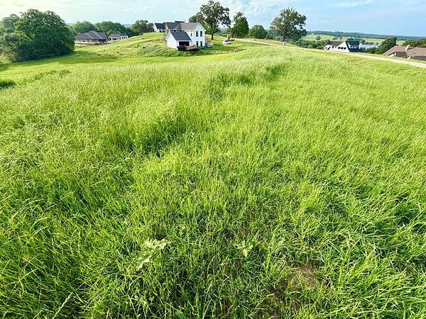 1 Acre of Residential Land for Sale in Athens, Texas