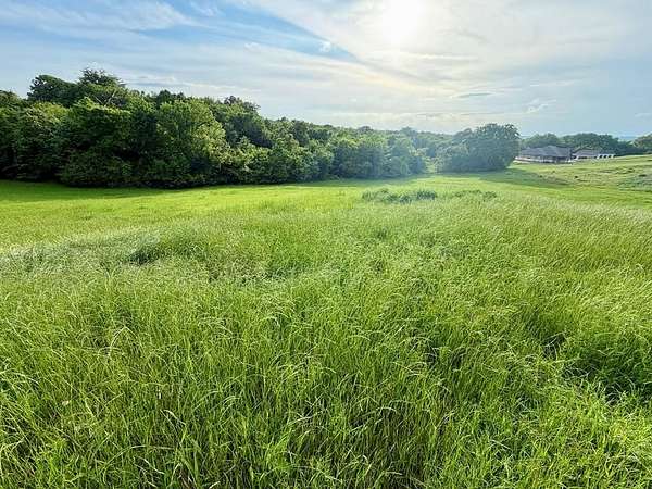 1 Acre of Residential Land for Sale in Athens, Texas