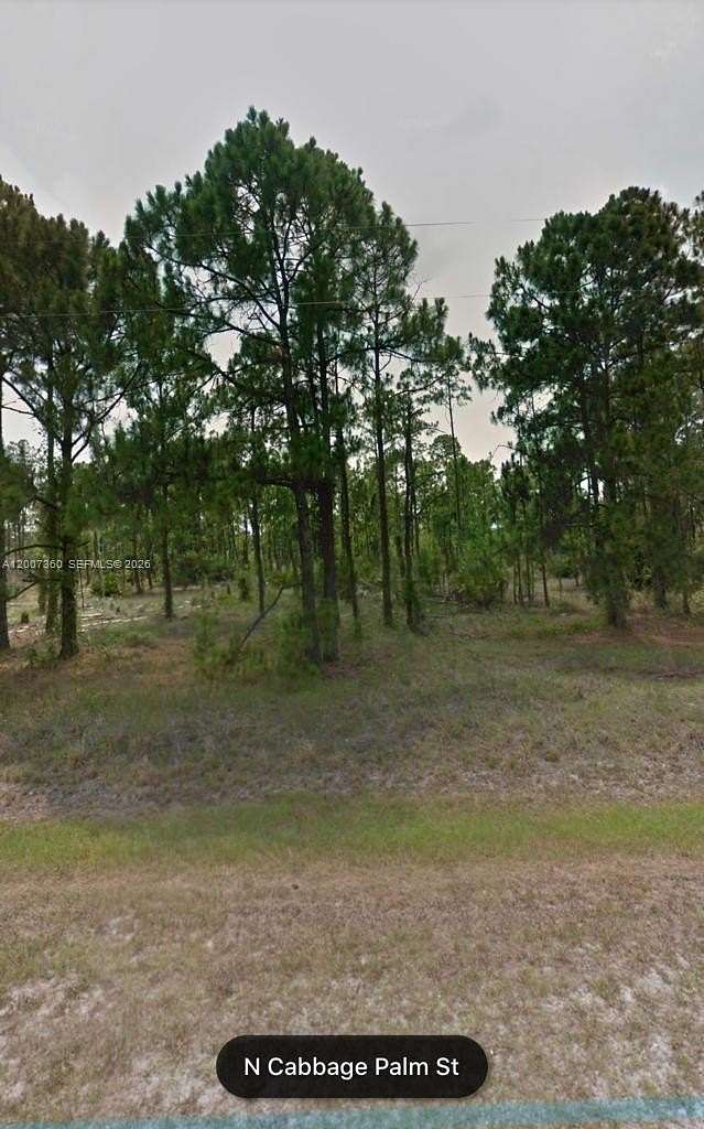 1.25 Acres of Residential Land for Sale in Clewiston, Florida