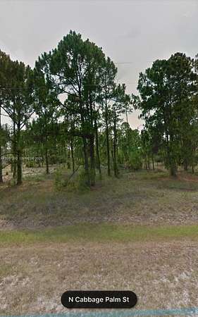 1.25 Acres of Residential Land for Sale in Clewiston, Florida