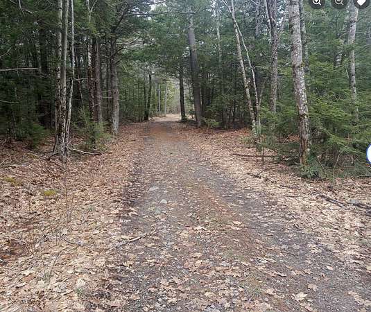 12 Acres of Land for Sale in Liberty, Maine