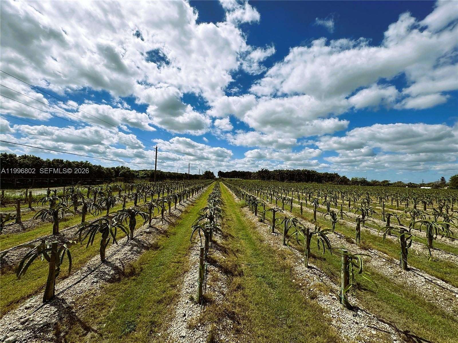 10 Acres of Land for Sale in Miami, Florida