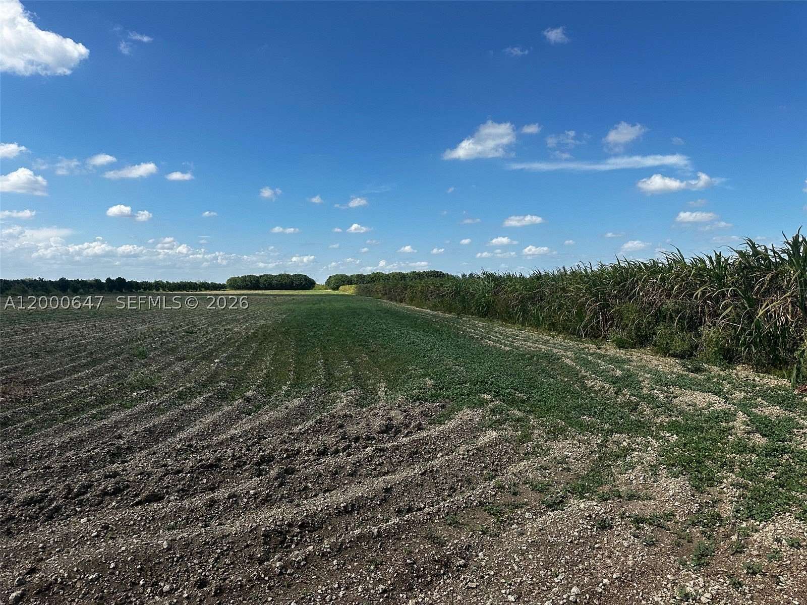 13.1 Acres of Agricultural Land for Sale in Homestead, Florida