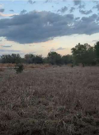 4.5 Acres of Residential Land for Sale in Lake Placid, Florida