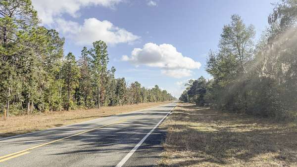 30 Acres of Recreational & Residential Land for Sale in Williston, Florida