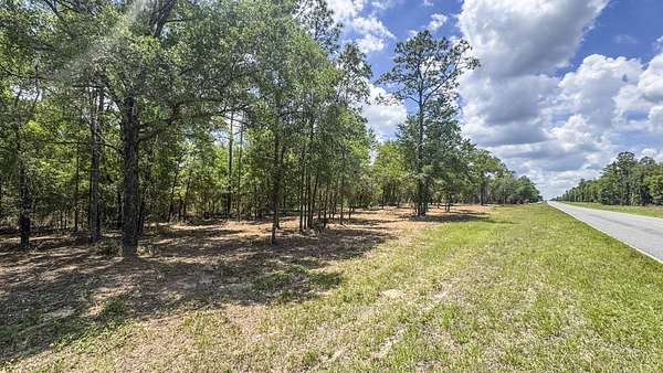 32 Acres of Recreational & Residential Land for Sale in Williston, Florida