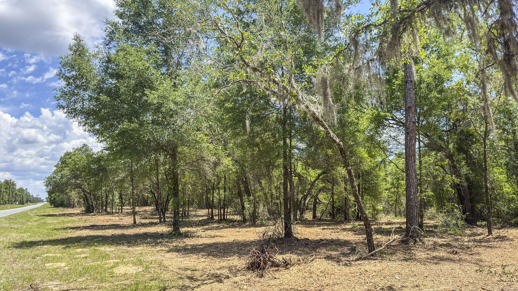 40 Acres of Recreational & Residential Land for Sale in Williston, Florida