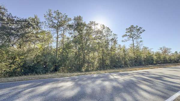 40 Acres of Recreational & Residential Land for Sale in Williston, Florida