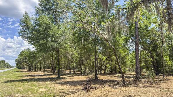 40 Acres of Recreational & Residential Land for Sale in Williston, Florida
