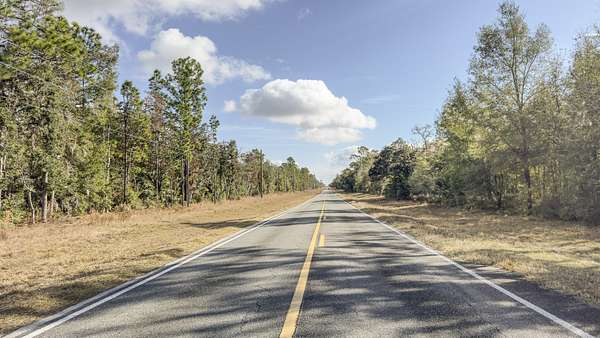 78 Acres of Recreational & Residential Land for Sale in Williston, Florida