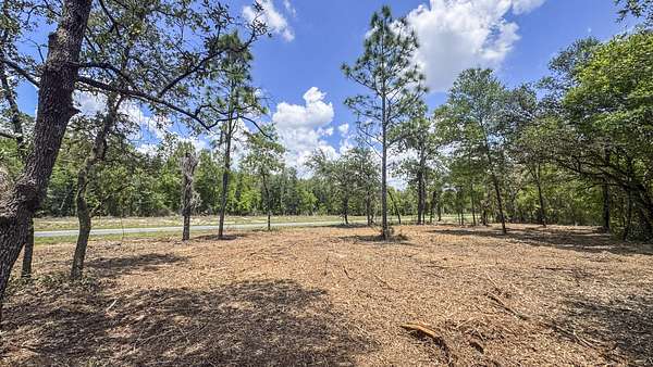78 Acres of Recreational & Residential Land for Sale in Williston, Florida