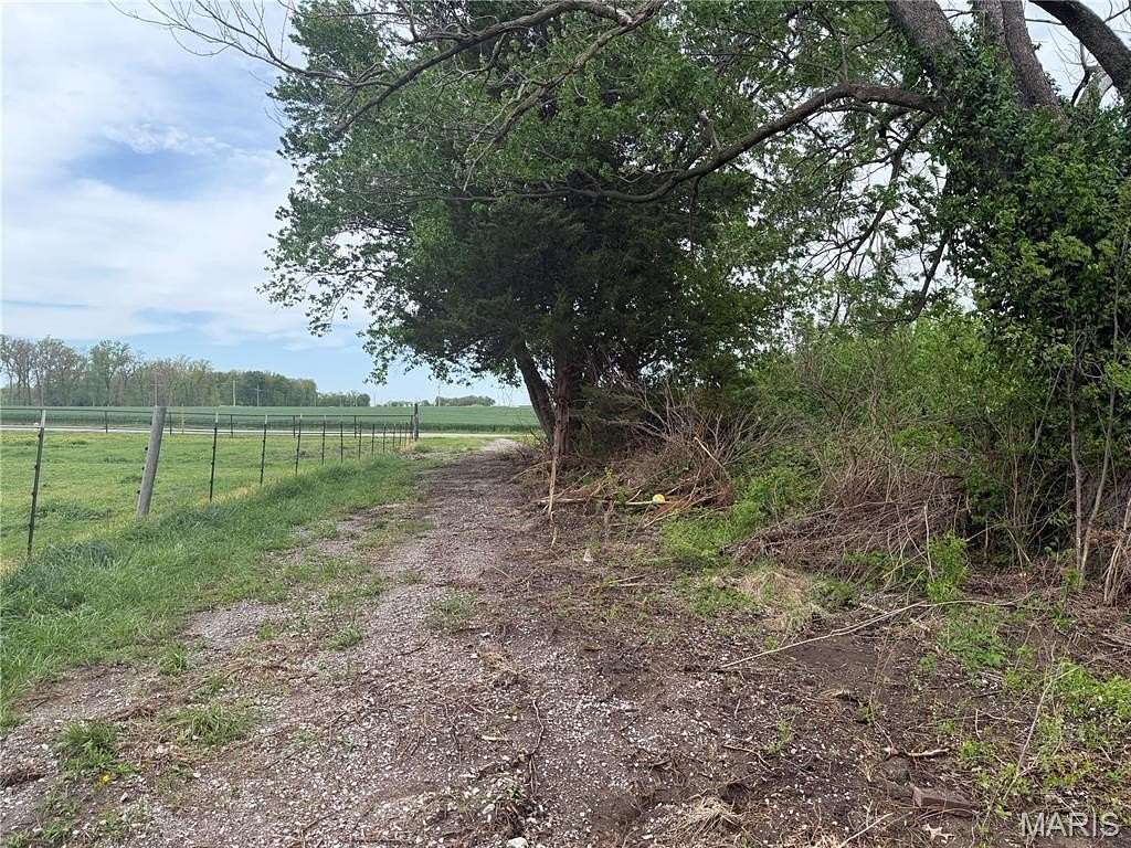 1 Acre of Residential Land for Sale in Marissa, Illinois