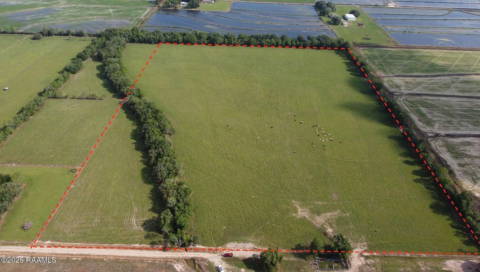 35 Acres of Land for Sale in Iota, Louisiana