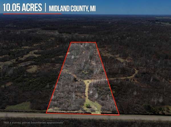 10 Acres of Recreational Land for Sale in Coleman, Michigan