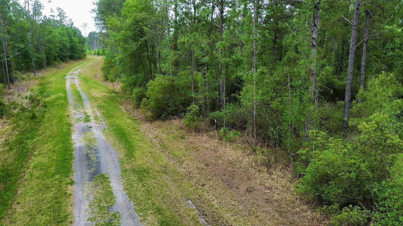40.2 Acres of Recreational & Residential Land for Sale in Greenville, Florida