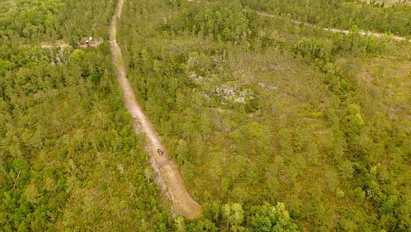 40.2 Acres of Recreational & Residential Land for Sale in Greenville, Florida