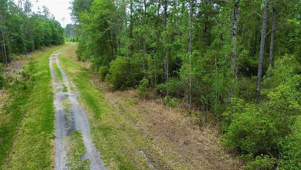 40.2 Acres of Recreational & Residential Land for Sale in Greenville, Florida