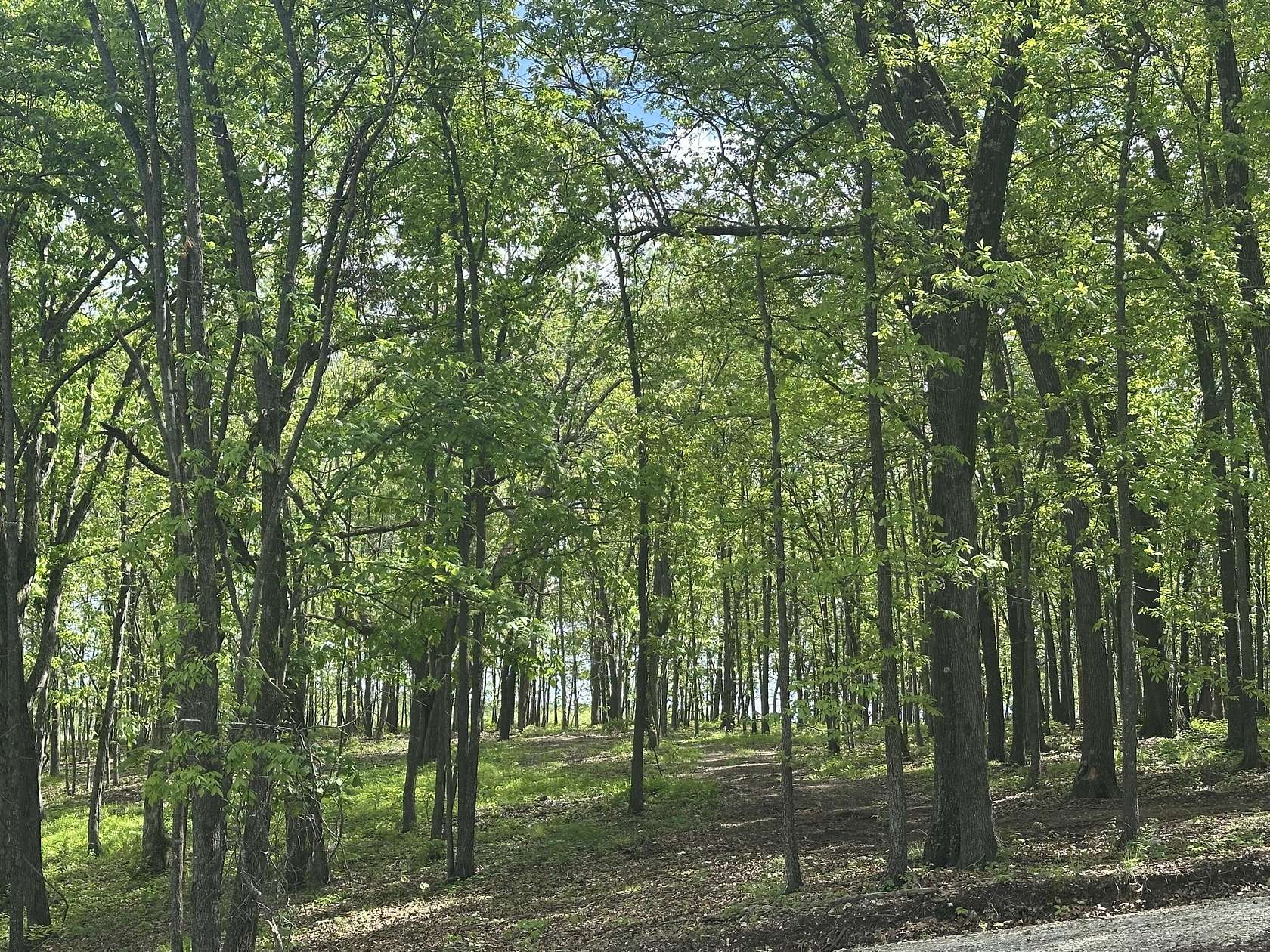 10 Acres of Land for Sale in Willard, Missouri