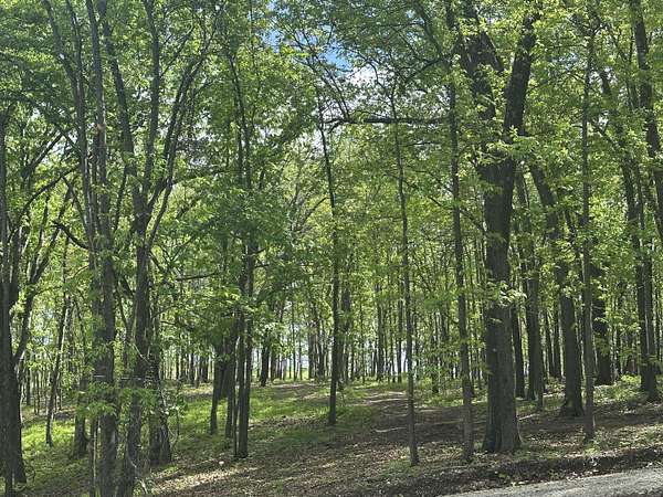 10 Acres of Land for Sale in Willard, Missouri