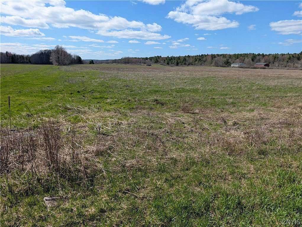 1 Acre of Residential Land for Sale in Clayton, New York
