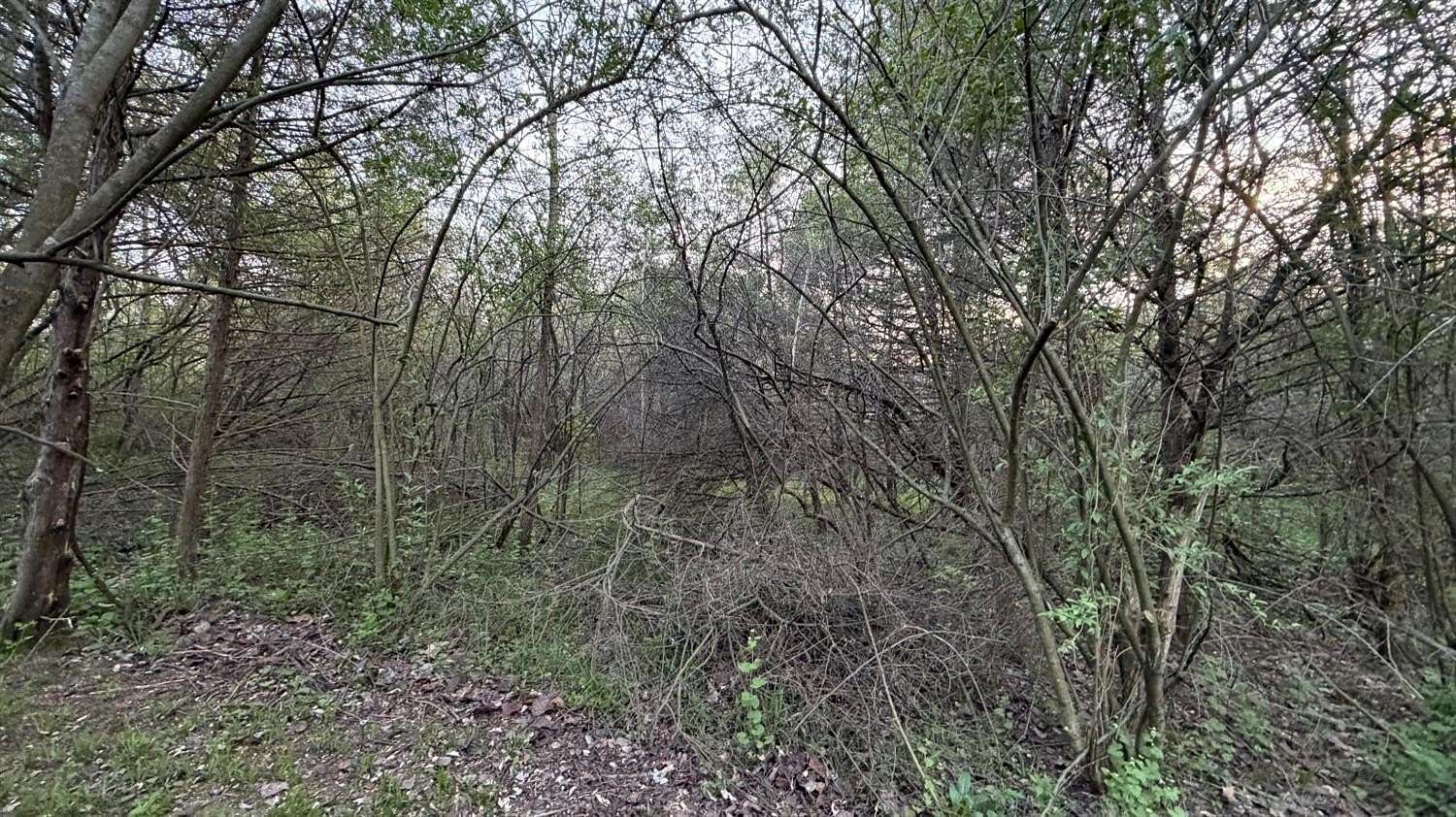 1.37 Acres of Residential Land for Sale in Brookville, Indiana