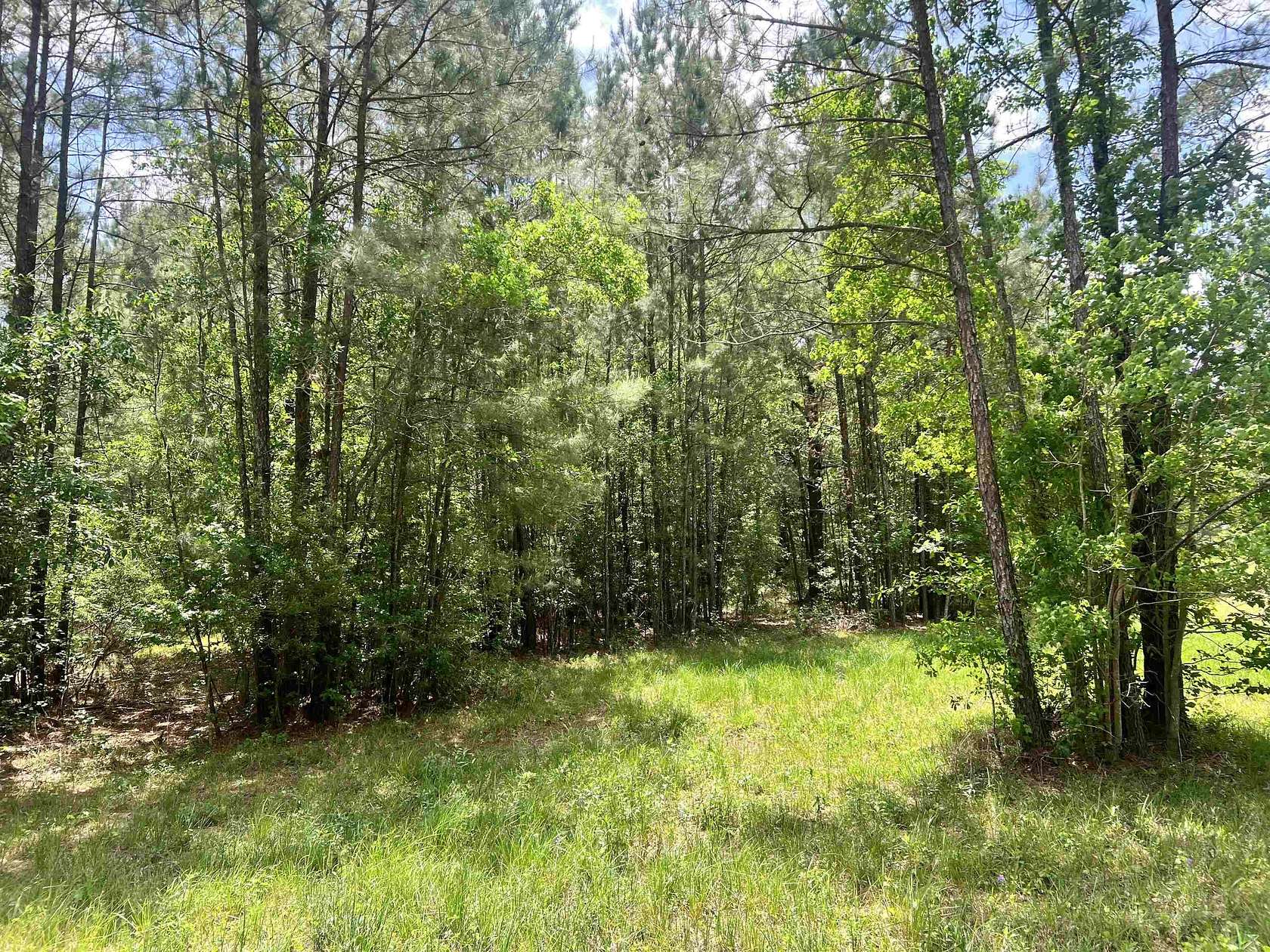 7.33 Acres of Residential Land for Sale in Lumberton, Texas