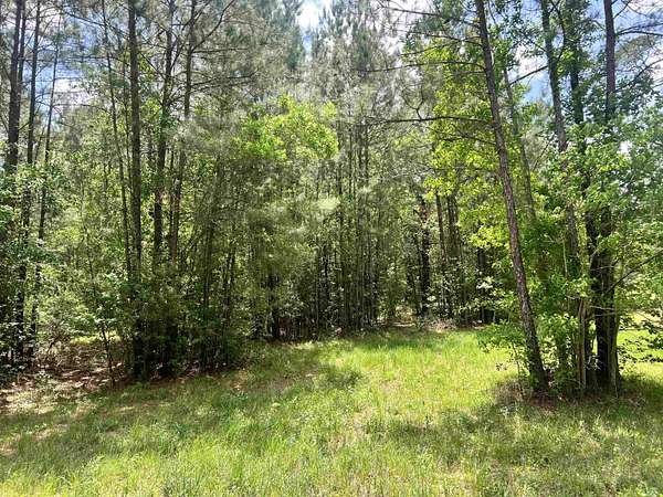 7.33 Acres of Residential Land for Sale in Lumberton, Texas