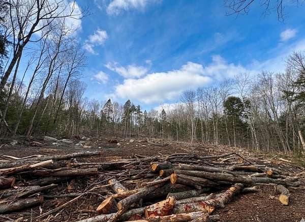 1 Acre of Residential Land for Sale in Milton, New Hampshire