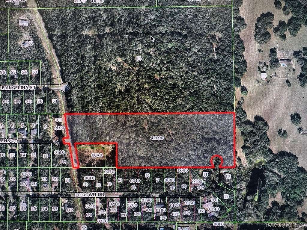 15.5 Acres of Land for Sale in Inverness, Florida