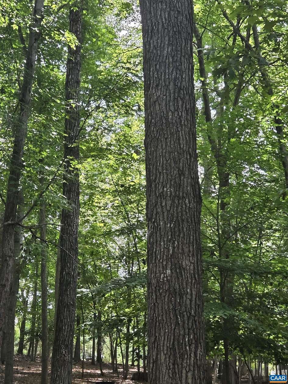 0.49 Acres of Residential Land for Sale in Palmyra, Virginia