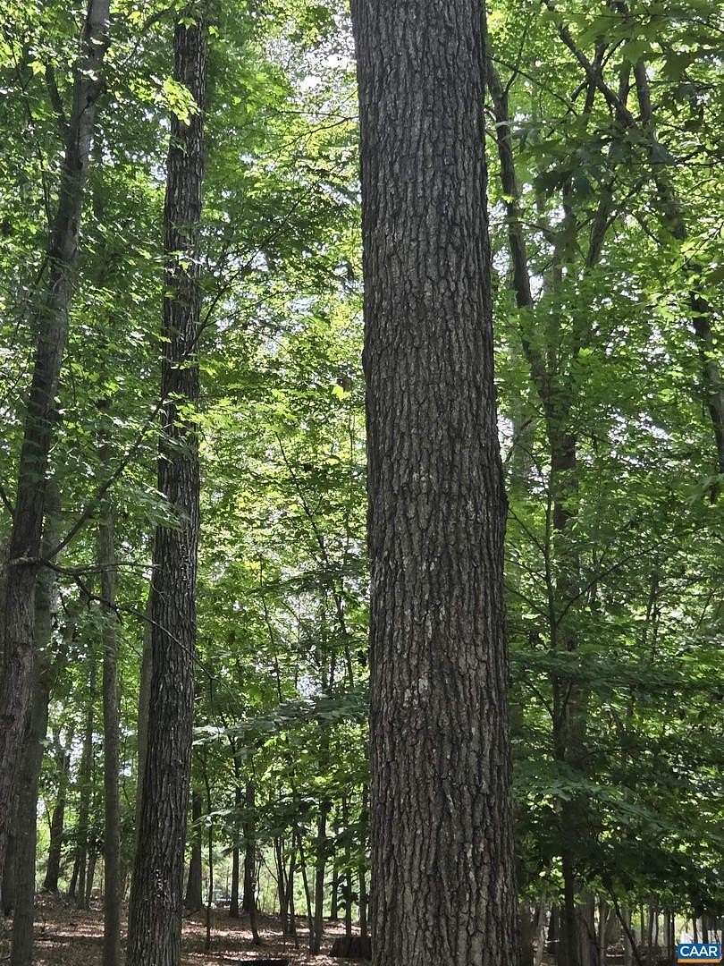 0.49 Acres of Residential Land for Sale in Palmyra, Virginia