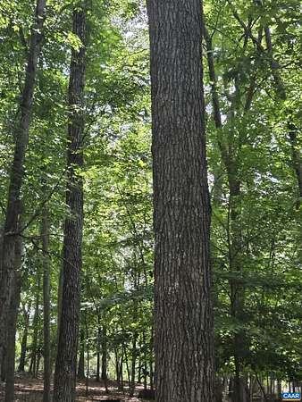 0.49 Acres of Residential Land for Sale in Palmyra, Virginia