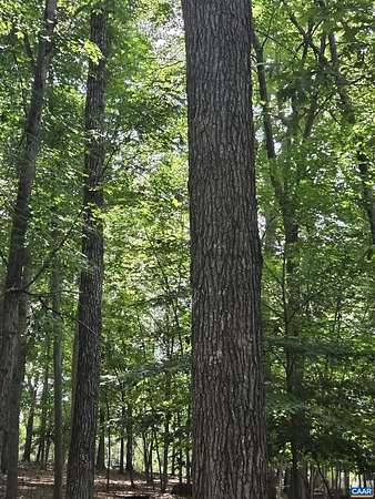 0.49 Acres of Residential Land for Sale in Palmyra, Virginia