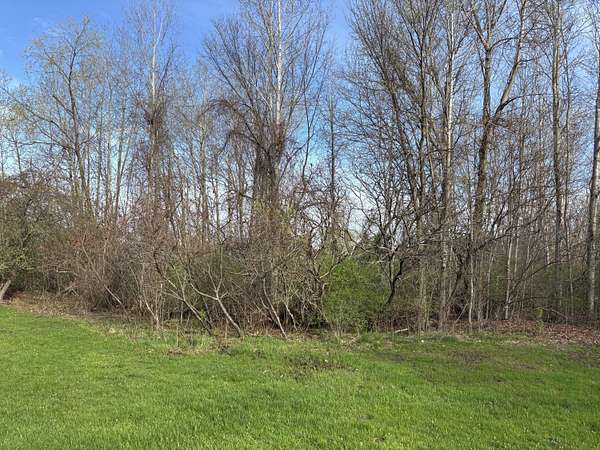 0.58 Acres of Residential Land for Sale in Hart, Michigan