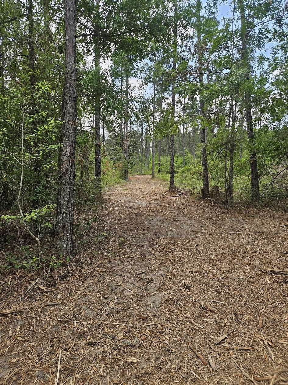 31.2 Acres of Recreational & Residential Land for Sale in Marianna, Florida