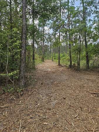 31.2 Acres of Recreational & Residential Land for Sale in Marianna, Florida