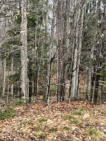 7.25 Acres of Residential Land for Sale in Farmington, Maine