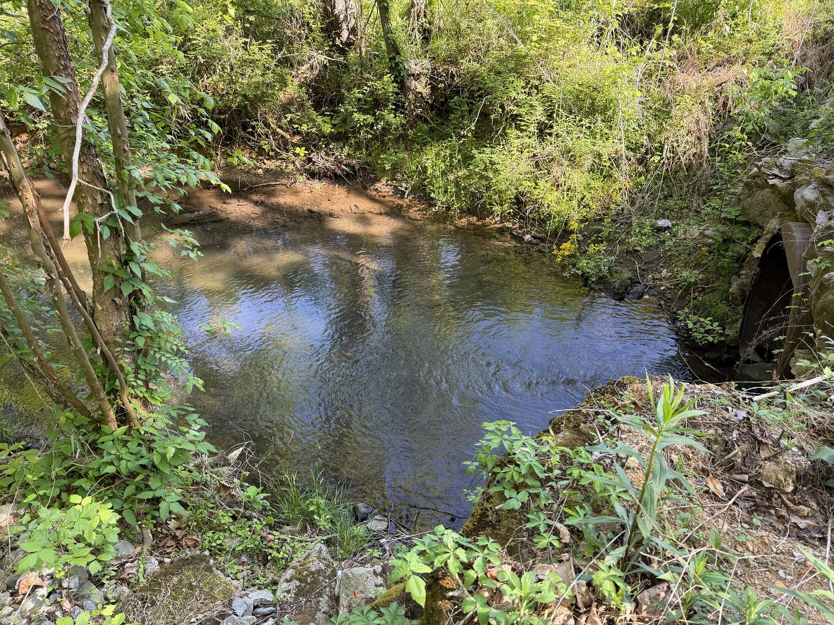 18 Acres of Land for Sale in Williamsport, Tennessee