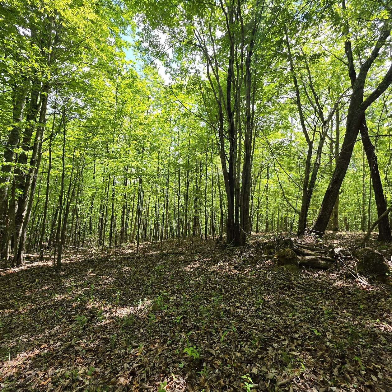 10.6 Acres of Recreational & Residential Land for Sale in South Pittsburg, Tennessee