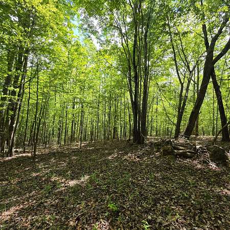 10.6 Acres of Recreational & Residential Land for Sale in South Pittsburg, Tennessee