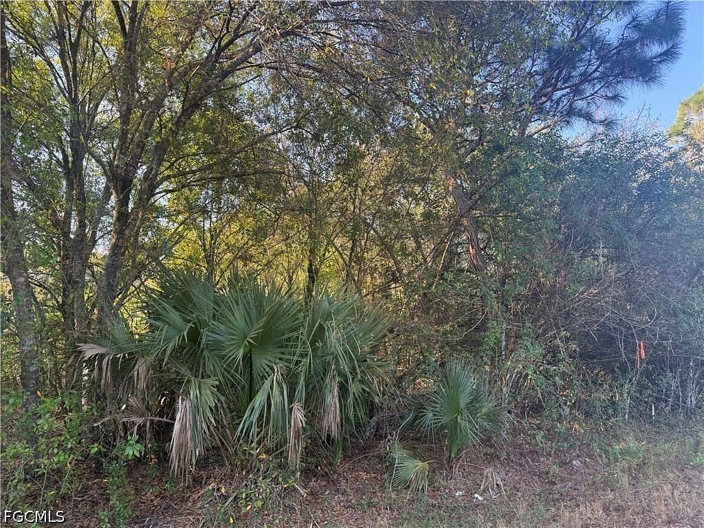 1 Acre of Residential Land for Sale in Clewiston, Florida