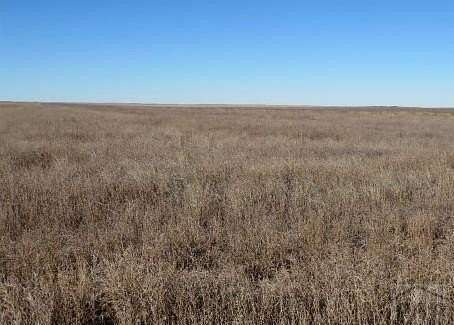 320 Acres of Recreational Land for Sale in Holly, Colorado