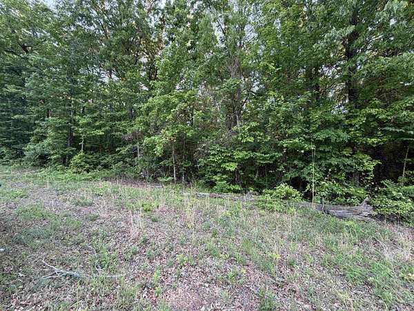 17 Acres of Land for Sale in Vilonia, Arkansas
