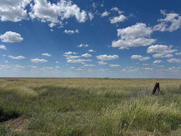218 Acres of Land for Sale in Sunray, Texas